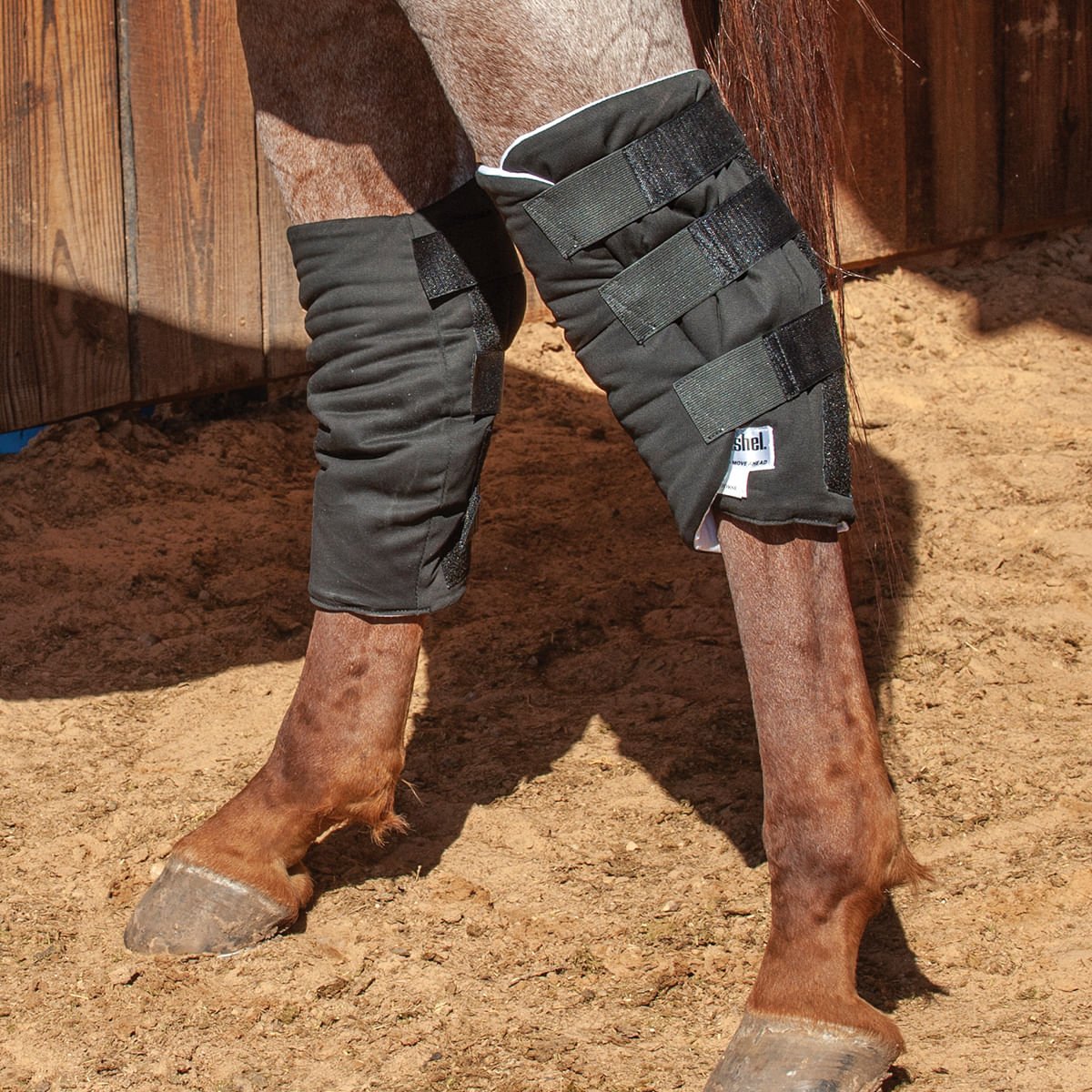 Cashel Hock Sock