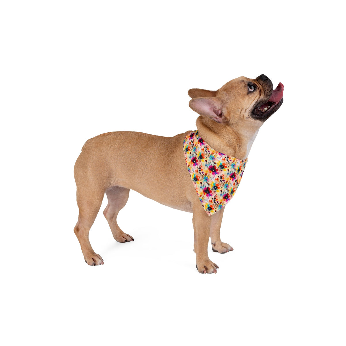 Wildflower Confetti in Watercolor Bloom - Pet Bandana Pet Zen