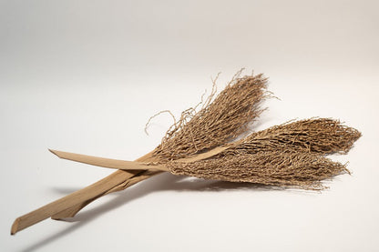 Date Palm Stalk