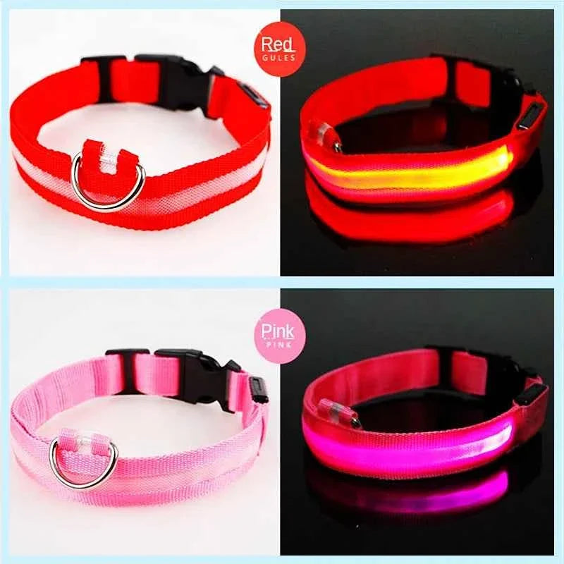LED Pet Dog Collar for Night Safety | Bright USB Rechargeable