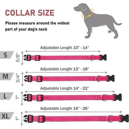 Reflective Adjustable Nylon Dog Collar Strap – Safety Traction Rope