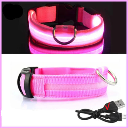 LED Pet Dog Collar for Night Safety | Bright USB Rechargeable
