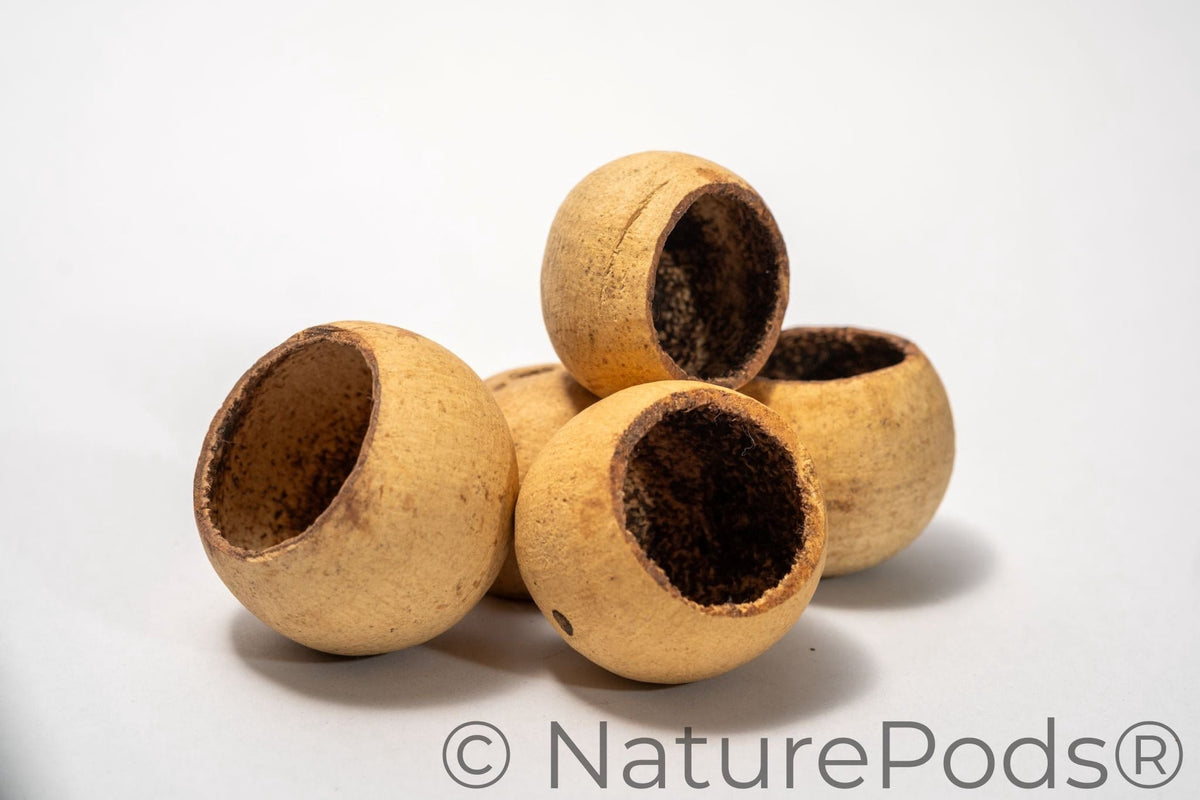 Medium Bell Cups