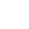 feature-item-1