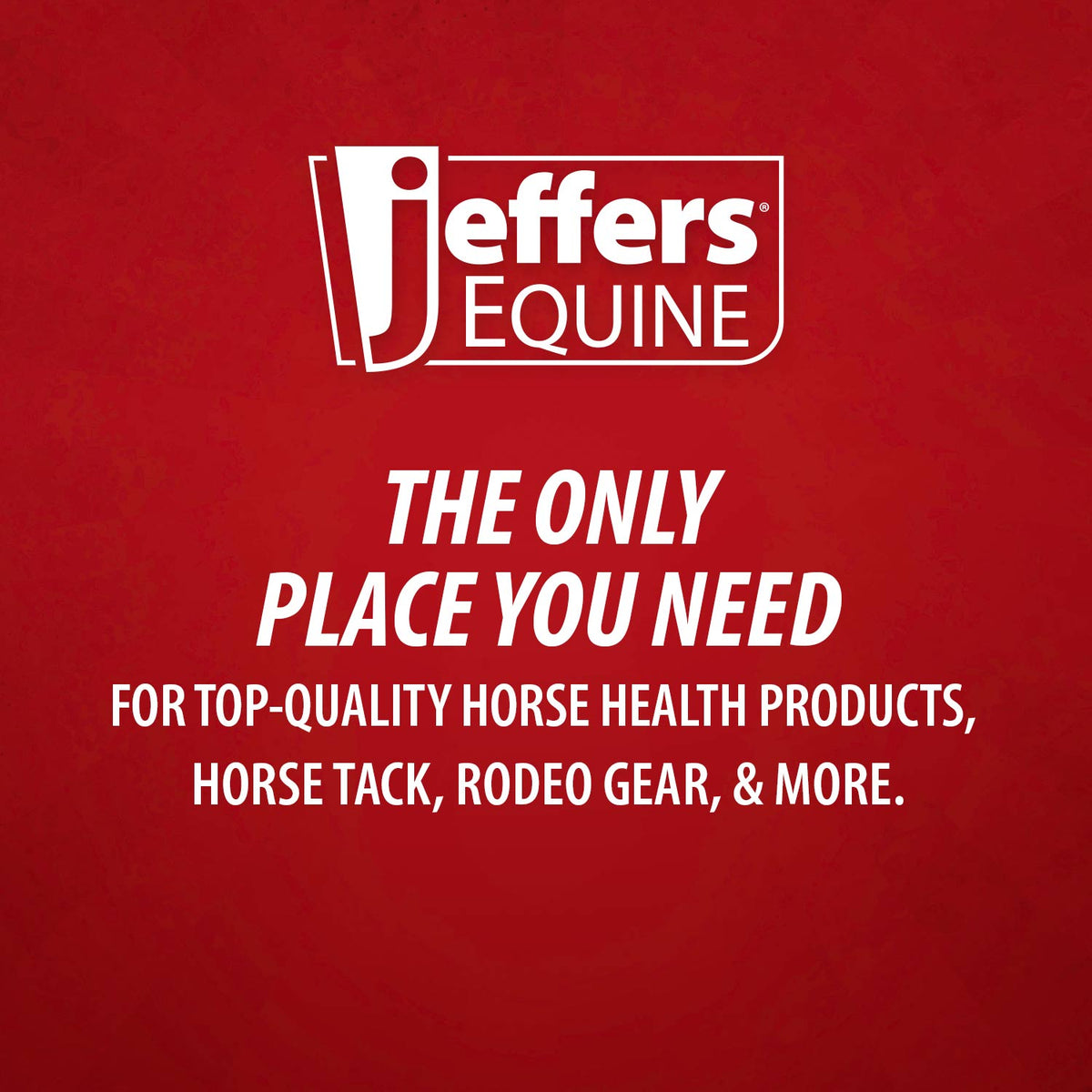 Jeffers Stainless Steel Sharp Grooming Scissors for Horses – Mane, Tail & Braiding Trimming Tool