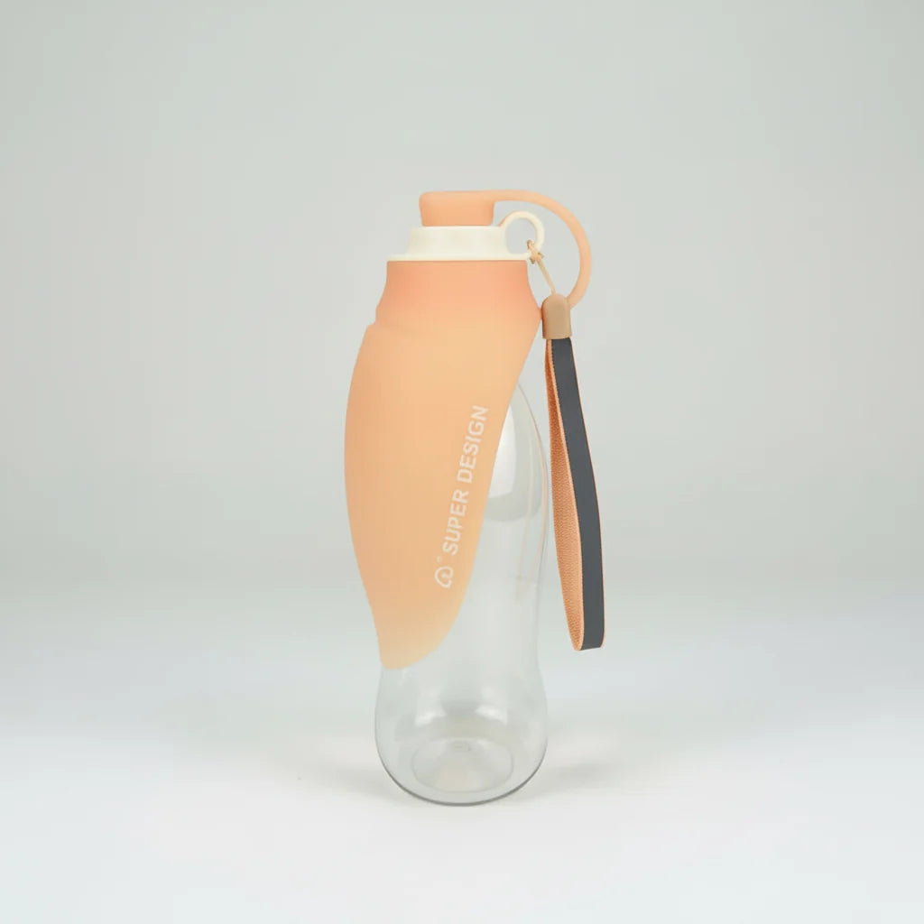 Portable Water Bottle